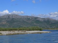 AL, Shkoder, Shkoder 1, Saxifraga-Hans Boll