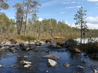 FIN, Lapland, Inari 8, Saxifraga-Dirk Hilbers