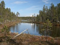 FIN, Lapland, Inari 9, Saxifraga-Dirk Hilbers