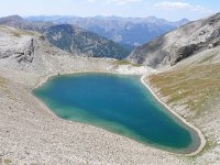 F, Alpes-de-Haute-Provence, Allos, Col de la Petite Cayolle 3, Saxifraga-Tom Heijnen