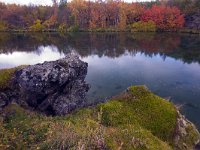 IS, Nordurland eystra, Nordurbing, Myvatn 22, Saxifraga-Dick Hoogenboom