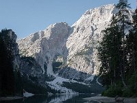 I, Sued-Tirol, Prags, Pragser Wildsee 1, Saxifraga-Luuk Vermeer