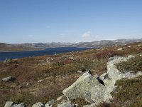 N, Buskerud, Hol, Orteren 15, Saxifraga-Willem van Kruijsbergen