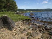 N, Hedmark, Nord-Odal, Austvatn 1, Saxifraga-Jan van der Straaten