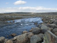 N, Hordaland, Eidfjord, Dyranut 33, Saxifraga-Annemiek Bouwman