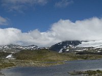 N, Oppland, Lom, Sognefjell 10, Saxifraga-Jan van der Straaten