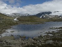 N, Oppland, Lom, Sognefjell 13, Saxifraga-Jan van der Straaten