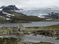 N, Oppland, Lom, Sognefjell 14, Saxifraga-Jan van der Straaten