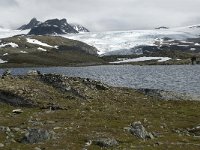 N, Oppland, Lom, Sognefjell 5, Saxifraga-Jan van der Straaten