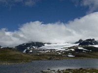 N, Oppland, Lom, Sognefjell 9, Saxifraga-Jan van der Straaten