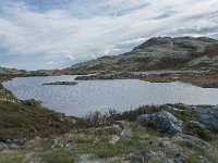 N, Oppland, Sel, Klufttjonne 41, Saxifraga-Annemiek Bouwman