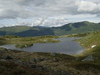 N, Sogn og Fjordane, Sogndal, Fagreggi 7, Saxifraga-Willem van Kruijsbergen