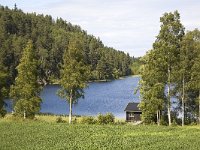 Landschap ZO van Halden, Noorwegen  Landscape of Norway, south-east of the town Halden : Europe European, Halden, Norway, Scandinavia Scandinavian, color, colour, forest wood, horizontal, lake, mountain, nature natural, norwegian, rural landscape, summer, tree, valley, water