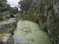 E, Caceres, Torrejon el Rubio, Castillo de Montfrague 15, Saxifraga-Willem van Kruijsbergen