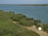 E, Tarragona, Deltebre, Garxal 2, Saxifraga-Marijke Verhagen