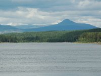 S, Dalarna, Kringelfjorden, Lake of Kringelfjorden 2, Saxifraga-Willem van Kruijsbergen