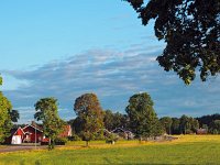 S, Gavleborgs lan, Gavle, Hedesunda 3, Saxifraga-Hans Dekker