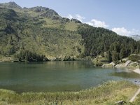 CH, Graubuenden, Stampa, Lagh da Cavloc 1, Saxifraga-Willem van Kruijsbergen