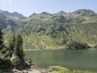 CH, Graubuenden, Stampa, Lagh da Cavloc 2, Saxifraga-Willem van Kruijsbergen