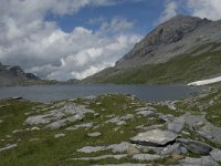 CH, Wallis, Leukerbad, Daubensee 4, Saxifraga-Willem van Kruijsbergen