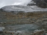 CH, Wallis, Saas Fee, Feegletscher 54, Saxifraga-Willem van Kruijsbergen