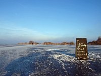 NL, Drenthe, Tynaarlo, Zuidlaardermeer 2, Saxifraga-Hans Dekker