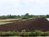 NL, Friesland, Heerenveen, De Deelen 1, Saxifraga-Hans Boll