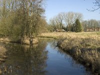 NL, Limburg, Weert, Broekmolen 1, Saxifraga-Jan van der Straaten