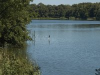 NL, Limburg, Weert, De Grote IJzeren Man 1, Saxifraga-Marijke Verhagen