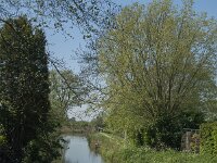 NL, Noord-Brabant, Altena, Alm 2, Saxifraga-Jan van der Straaten