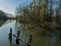 NL, Noord-Brabant, Altena, Boomgat 12, Saxifraga-Marijke Verhagen