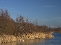 Natuurontwikkeling Biesbosch Jantjesplaat