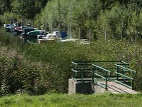 NL, Noord-Brabant, Altena, Jappegat 5, Saxifraga-Jan van der Straaten