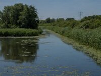 NL, Noord-Brabant, Altena, Oostkil 11, Saxifraga-Jan van der Straaten