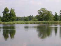 Bergeijk