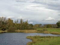 NL, Noord-Brabant, Heusden, Zeedijk 14, Saxifraga-Jan van der Straaten