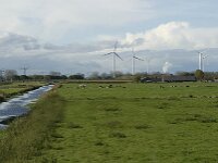 NL, Noord-Brabant, Heusden, Zeedijk 20, Saxifraga-Jan van der Straaten