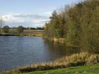 NL, Noord-Brabant, Heusden, Zeedijk 5, Saxifraga-Jan van der Straaten