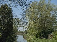 NL, Noord-Brabant, Altena, Alm 2, Saxifraga-Jan van der Straaten