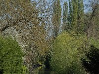 NL, Noord-Brabant, Altena, Alm 3, Saxifraga-Jan van der Straaten