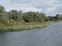 NL, Noord-Brabant, Altena, Gat van Paulus 8, Saxifraga-Willem van Kruijsbergen