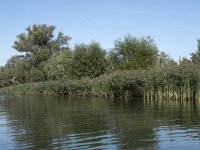 NL, Noord-Brabant, Altena, Gat van den Hardenhoek 12, Saxifraga-Willem van Kruijsbergen