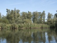 NL, Noord-Brabant, Altena, Gat van den Hardenhoek 30, Saxifraga-Willem van Kruijsbergen