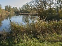 NL, Noord-Brabant, Altena, Gat van den Hardenhoek 56, Saxifraga-Jan van der Straaten