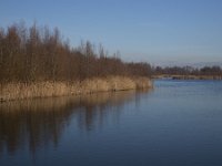 Natuurontwikkeling Biesbosch Jantjesplaat