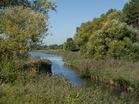 NL, Noord-Brabant, Altena, Oude Maasje 4, Saxifraga-Jan van der Straaten