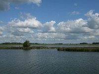 NL, Noord-Brabant, Altena, Polder Maltha 13, Saxifraga-Jan van der Straaten