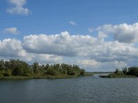 NL, Noord-Brabant, Altena, Polder Maltha 17, Saxifraga-Jan van der Straaten