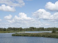 NL, Noord-Brabant, Altena, Polder Maltha 23, Saxifraga-Willem van Kruijsbergen