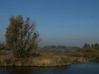 NL, Noord-Brabant, Altena, Polder Maltha 29, Saxifraga-Jan van der Straaten